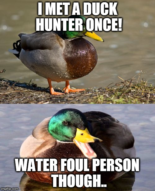 Just sue him with a bill... |  I MET A DUCK HUNTER ONCE! WATER FOUL PERSON THOUGH.. | image tagged in bad pun duck,original meme,bad pun,memes,funny,hunting | made w/ Imgflip meme maker