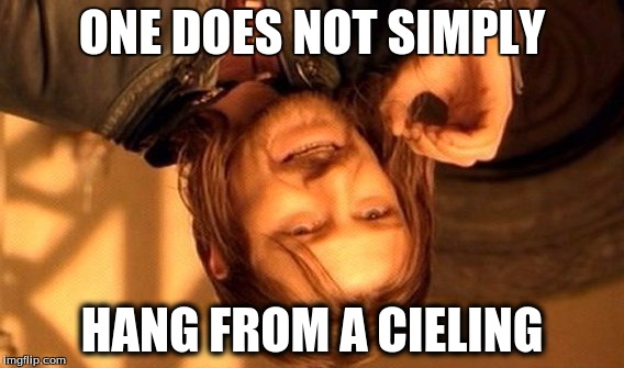 One Does Not Simply Meme | ONE DOES NOT SIMPLY; HANG FROM A CIELING | image tagged in memes,one does not simply | made w/ Imgflip meme maker