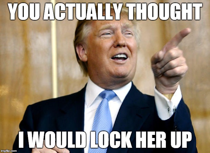 Ya'll got Drumpfed | YOU ACTUALLY THOUGHT; I WOULD LOCK HER UP | image tagged in donald trump pointing | made w/ Imgflip meme maker