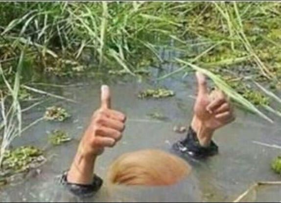 High Quality Trump Swamp Creature Blank Meme Template