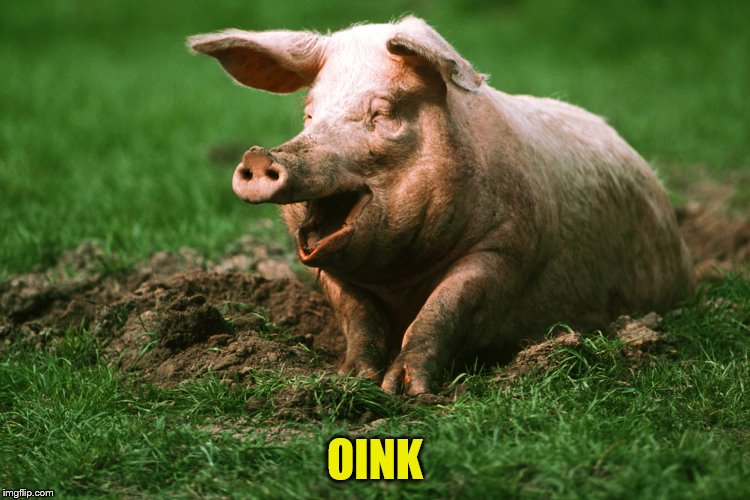 OINK | made w/ Imgflip meme maker