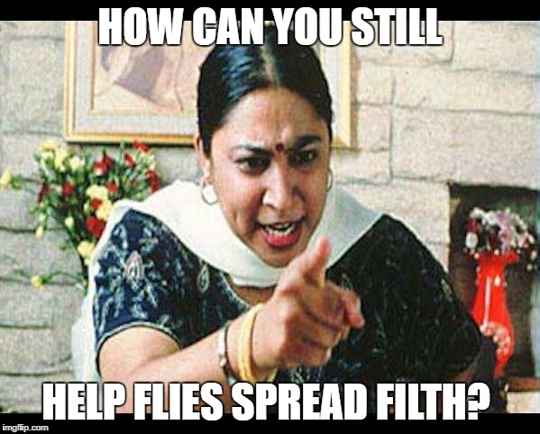 Angry Indian Mum  | HOW CAN YOU STILL; HELP FLIES SPREAD FILTH? | image tagged in angry indian mum | made w/ Imgflip meme maker