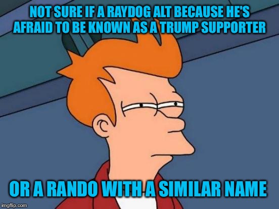 Futurama Fry Meme | NOT SURE IF A RAYDOG ALT BECAUSE HE'S AFRAID TO BE KNOWN AS A TRUMP SUPPORTER OR A RANDO WITH A SIMILAR NAME | image tagged in memes,futurama fry | made w/ Imgflip meme maker