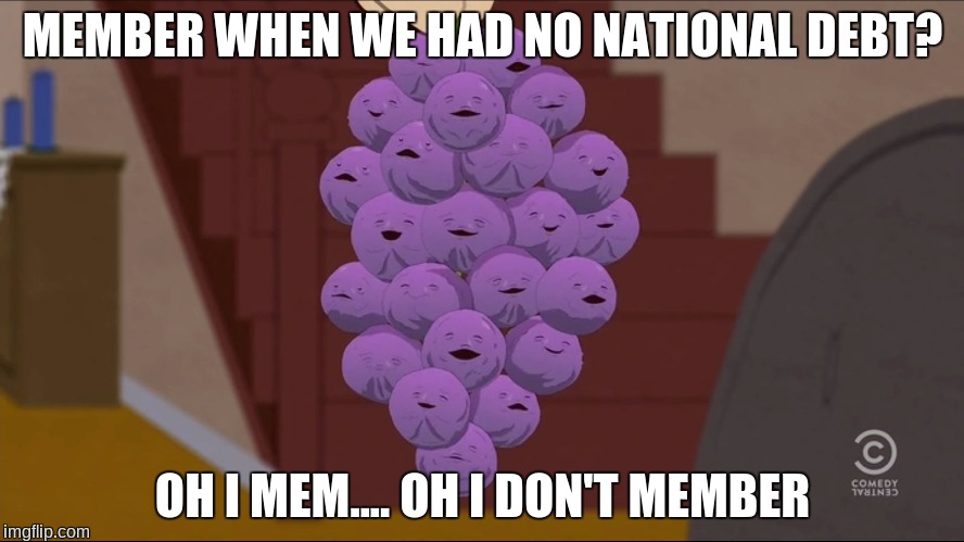 Member Berries | MEMBER WHEN WE HAD NO NATIONAL DEBT? OH I MEM.... OH I DON'T MEMBER | image tagged in memes,member berries | made w/ Imgflip meme maker