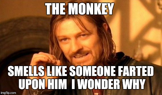 One Does Not Simply Meme | THE MONKEY; SMELLS LIKE SOMEONE FARTED UPON HIM  I WONDER WHY | image tagged in memes,one does not simply | made w/ Imgflip meme maker