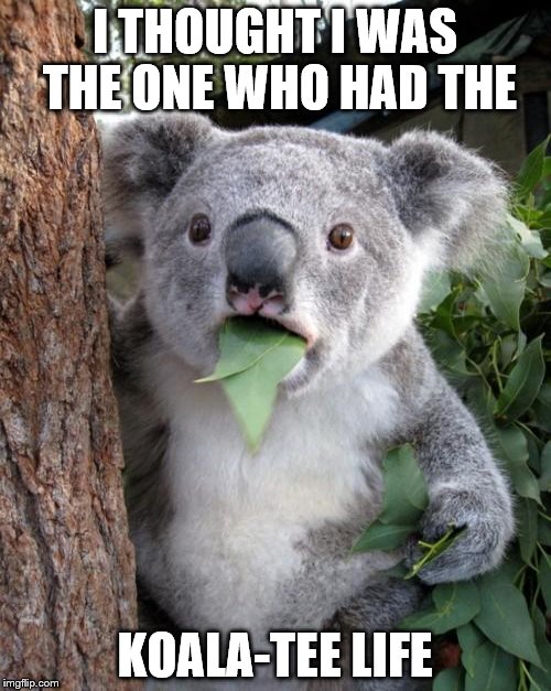 I THOUGHT I WAS THE ONE WHO HAD THE KOALA-TEE LIFE | made w/ Imgflip meme maker