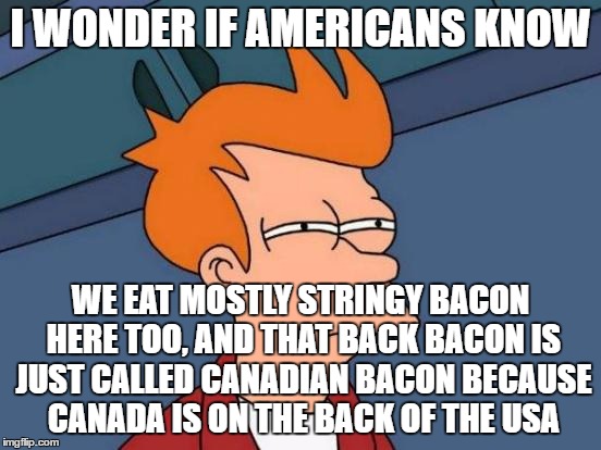 Futurama Fry Meme | I WONDER IF AMERICANS KNOW WE EAT MOSTLY STRINGY BACON HERE TOO, AND THAT BACK BACON IS JUST CALLED CANADIAN BACON BECAUSE CANADA IS ON THE  | image tagged in memes,futurama fry | made w/ Imgflip meme maker