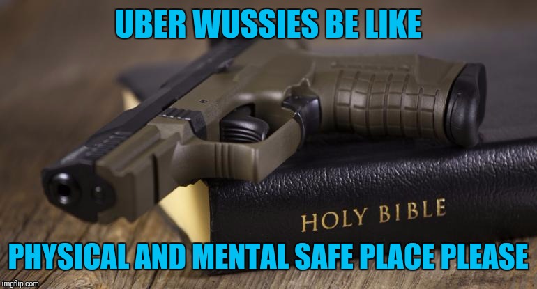 The forgotten wuss | UBER WUSSIES BE LIKE; PHYSICAL AND MENTAL SAFE PLACE PLEASE | image tagged in bible,guns,hicks | made w/ Imgflip meme maker