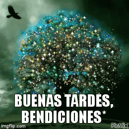 TARDES | BUENAS TARDES, BENDICI0NES* | image tagged in gifs | made w/ Imgflip video-to-gif maker