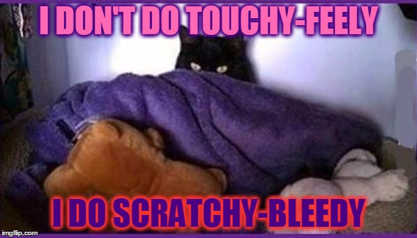 Evil cat | I DON'T DO TOUCHY-FEELY; I DO SCRATCHY-BLEEDY | image tagged in making plans,memes | made w/ Imgflip meme maker