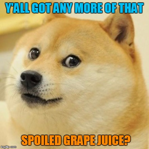 Doge Meme | Y'ALL GOT ANY MORE OF THAT SPOILED GRAPE JUICE? | image tagged in memes,doge | made w/ Imgflip meme maker