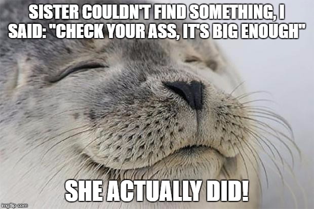 Satisfied Seal Meme | SISTER COULDN'T FIND SOMETHING, I SAID: "CHECK YOUR ASS, IT'S BIG ENOUGH"; SHE ACTUALLY DID! | image tagged in memes,satisfied seal | made w/ Imgflip meme maker