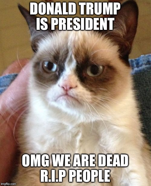 Grumpy Cat Meme | DONALD TRUMP IS PRESIDENT; OMG WE ARE DEAD R.I.P PEOPLE | image tagged in memes,grumpy cat | made w/ Imgflip meme maker