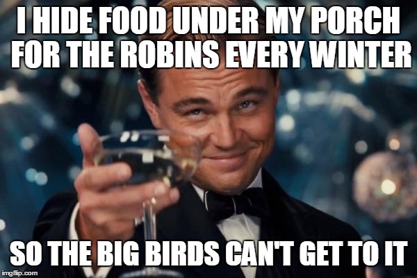 Leonardo Dicaprio Cheers Meme | I HIDE FOOD UNDER MY PORCH FOR THE ROBINS EVERY WINTER SO THE BIG BIRDS CAN'T GET TO IT | image tagged in memes,leonardo dicaprio cheers | made w/ Imgflip meme maker