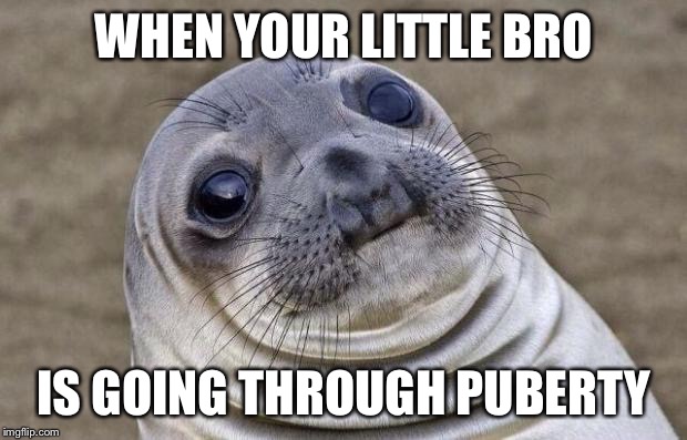 Awkward Moment Sealion | WHEN YOUR LITTLE BRO; IS GOING THROUGH PUBERTY | image tagged in memes,awkward moment sealion | made w/ Imgflip meme maker