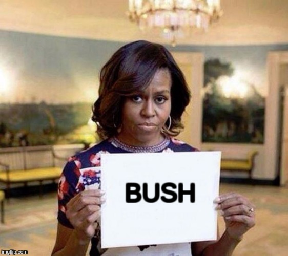 Michelle Obama blank sheet | BUSH | image tagged in michelle obama blank sheet | made w/ Imgflip meme maker