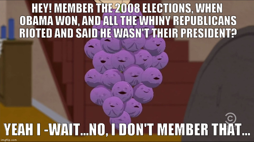 How many more variations on this joke can be made? :{D | HEY! MEMBER THE 2008 ELECTIONS, WHEN OBAMA WON, AND ALL THE WHINY REPUBLICANS RIOTED AND SAID HE WASN'T THEIR PRESIDENT? YEAH I -WAIT...NO, I DON'T MEMBER THAT... | image tagged in memes,member berries,donald trump approves,hillary clinton for prison hospital 2016,biased media,media trolls | made w/ Imgflip meme maker