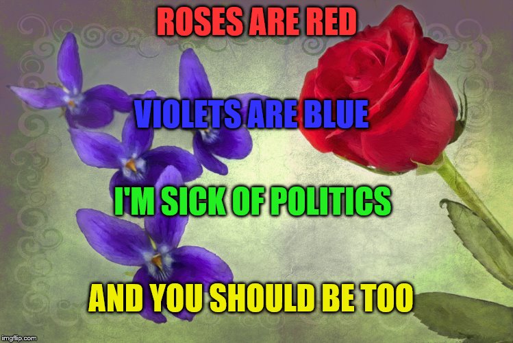 Roses are many colors other than red, violets are fricken violet | ROSES ARE RED; VIOLETS ARE BLUE; I'M SICK OF POLITICS; AND YOU SHOULD BE TOO | image tagged in roses are many colors other than red violets are fricken violet | made w/ Imgflip meme maker
