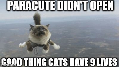Skydiving Cat | PARACUTE DIDN'T OPEN; GOOD THING CATS HAVE 9 LIVES | image tagged in skydiving cat | made w/ Imgflip meme maker