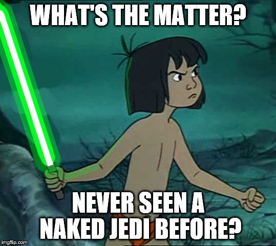 Maugli Skywalker | WHAT'S THE MATTER? NEVER SEEN A NAKED JEDI BEFORE? | image tagged in maugli skywalker | made w/ Imgflip meme maker