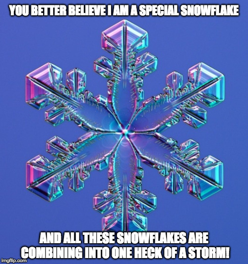 YOU BETTER BELIEVE I AM A SPECIAL SNOWFLAKE; AND ALL THESE SNOWFLAKES ARE COMBINING INTO ONE HECK OF A STORM! | image tagged in snowflake,hillary clinton | made w/ Imgflip meme maker