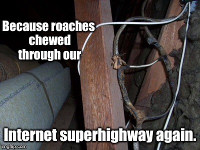 Because roaches chewed through our Internet superhighway again. | made w/ Imgflip meme maker