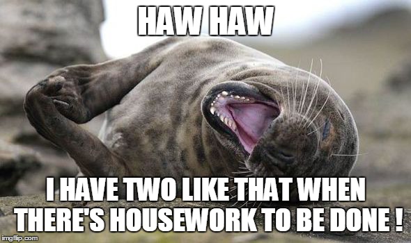 HAW HAW I HAVE TWO LIKE THAT WHEN THERE'S HOUSEWORK TO BE DONE ! | made w/ Imgflip meme maker