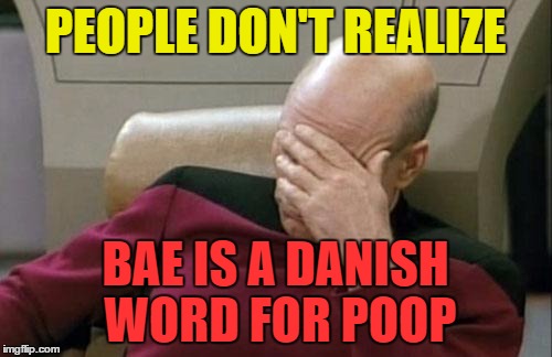 Captain Picard Facepalm Meme | PEOPLE DON'T REALIZE BAE IS A DANISH WORD FOR POOP | image tagged in memes,captain picard facepalm | made w/ Imgflip meme maker