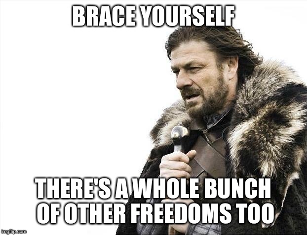 Brace Yourselves X is Coming Meme | BRACE YOURSELF THERE'S A WHOLE BUNCH OF OTHER FREEDOMS TOO | image tagged in memes,brace yourselves x is coming | made w/ Imgflip meme maker