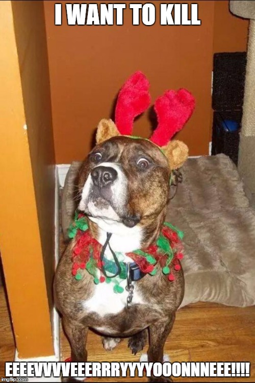 Christmas truth dog | I WANT TO KILL; EEEEVVVVEEERRRYYYYOOONNNEEE!!!! | image tagged in christmas truth dog | made w/ Imgflip meme maker