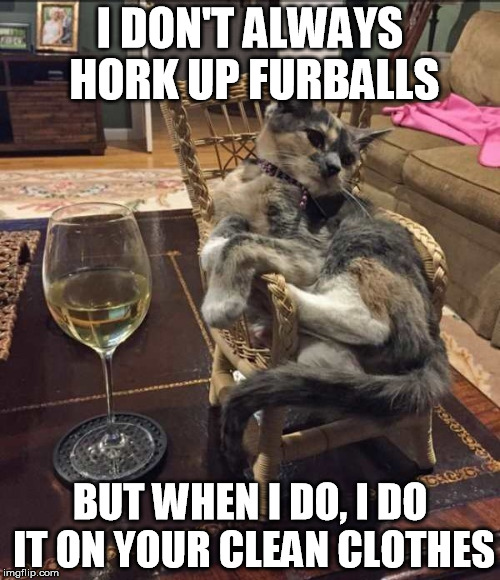 I DON'T ALWAYS HORK UP FURBALLS; BUT WHEN I DO, I DO IT ON YOUR CLEAN CLOTHES | made w/ Imgflip meme maker
