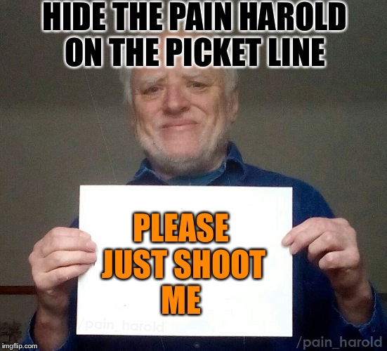 Harold blank | HIDE THE PAIN HAROLD ON THE PICKET LINE; PLEASE JUST SHOOT ME | image tagged in harold blank | made w/ Imgflip meme maker