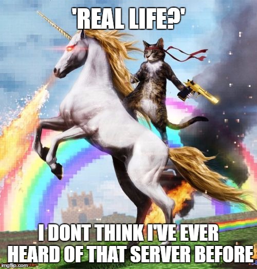 Welcome To The Internets Meme | 'REAL LIFE?'; I DONT THINK I'VE EVER HEARD OF THAT SERVER BEFORE | image tagged in memes,welcome to the internets | made w/ Imgflip meme maker