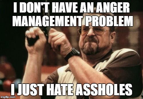 Am I The Only One Around Here | I DON'T HAVE AN ANGER MANAGEMENT PROBLEM; I JUST HATE ASSHOLES | image tagged in memes,am i the only one around here | made w/ Imgflip meme maker