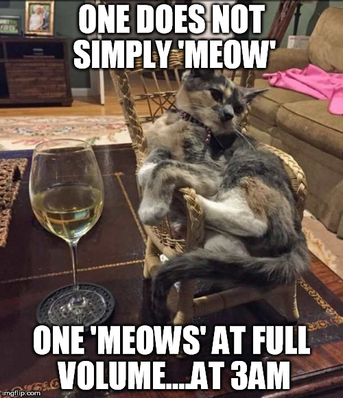 ONE DOES NOT SIMPLY 'MEOW'; ONE 'MEOWS' AT FULL VOLUME....AT 3AM | made w/ Imgflip meme maker