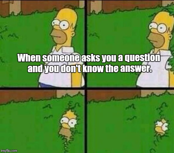 Homer Simpson in Bush - Large | When someone asks you a question and you don't know the answer. | image tagged in homer simpson in bush - large | made w/ Imgflip meme maker