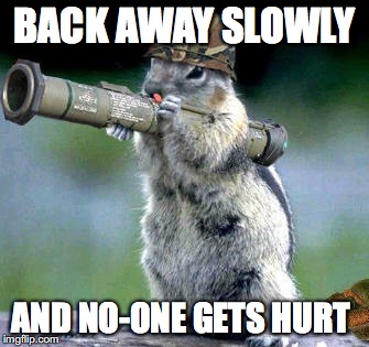 Bazooka Squirrel Meme | BACK AWAY SLOWLY; AND NO-ONE GETS HURT | image tagged in memes,bazooka squirrel | made w/ Imgflip meme maker