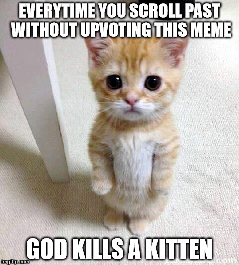 God Kills a Kitten | EVERYTIME YOU SCROLL PAST WITHOUT UPVOTING THIS MEME; GOD KILLS A KITTEN | image tagged in memes,cute cat,god kills a kitten | made w/ Imgflip meme maker