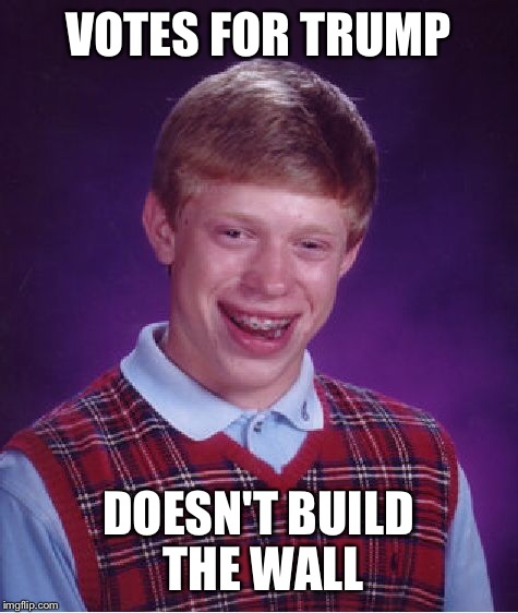 Bad Luck Brian Meme | VOTES FOR TRUMP DOESN'T BUILD THE WALL | image tagged in memes,bad luck brian | made w/ Imgflip meme maker