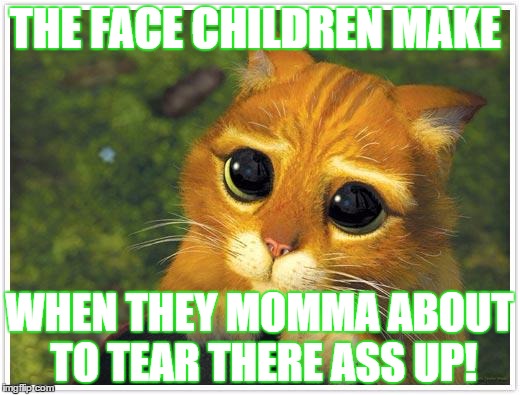 Shrek Cat | THE FACE CHILDREN MAKE; WHEN THEY MOMMA ABOUT TO TEAR THERE ASS UP! | image tagged in memes,shrek cat | made w/ Imgflip meme maker