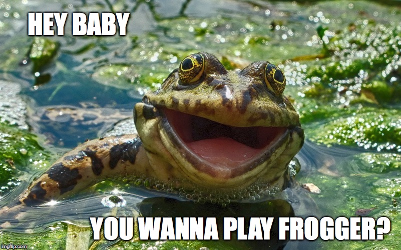 Hey Baby | HEY BABY; YOU WANNA PLAY FROGGER? | image tagged in hey baby,frogger | made w/ Imgflip meme maker
