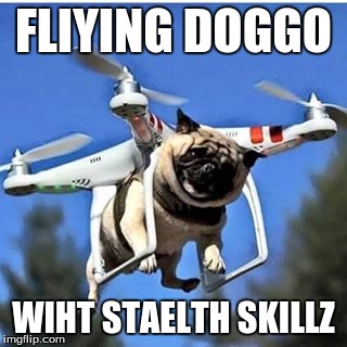 Doggo wiht staelth skillz | FLIYING DOGGO; WIHT STAELTH SKILLZ | image tagged in memes | made w/ Imgflip meme maker