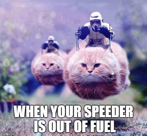 Storm Trooper Cats | WHEN YOUR SPEEDER IS OUT OF FUEL | image tagged in storm trooper cats | made w/ Imgflip meme maker