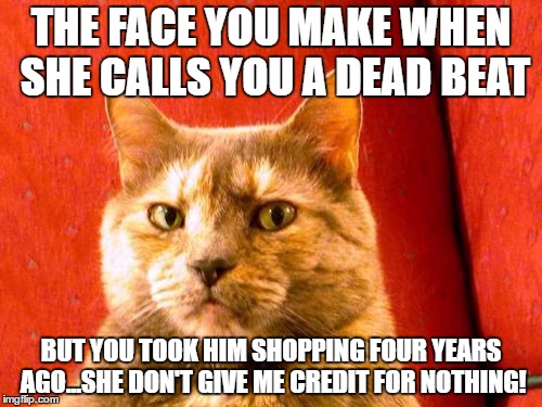 Suspicious Cat | THE FACE YOU MAKE WHEN SHE CALLS YOU A DEAD BEAT; BUT YOU TOOK HIM SHOPPING FOUR YEARS AGO...SHE DON'T GIVE ME CREDIT FOR NOTHING! | image tagged in memes,suspicious cat | made w/ Imgflip meme maker