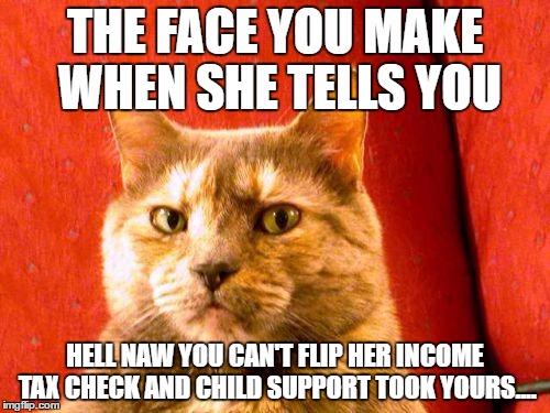 Suspicious Cat Meme | THE FACE YOU MAKE WHEN SHE TELLS YOU; HELL NAW YOU CAN'T FLIP HER INCOME TAX CHECK AND CHILD SUPPORT TOOK YOURS.... | image tagged in memes,suspicious cat | made w/ Imgflip meme maker