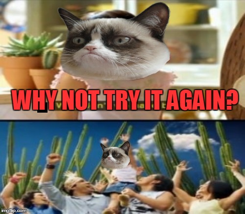 WHY NOT TRY IT AGAIN? | made w/ Imgflip meme maker
