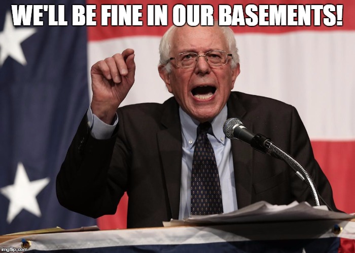bernie point | WE'LL BE FINE IN OUR BASEMENTS! | image tagged in bernie point | made w/ Imgflip meme maker