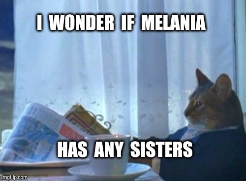 Hmmm.....she's beautiful  | I  WONDER  IF  MELANIA; HAS  ANY  SISTERS | image tagged in memes,i should buy a boat cat,melania trump,sisters | made w/ Imgflip meme maker