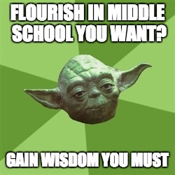 Advice Yoda | FLOURISH IN MIDDLE SCHOOL YOU WANT? GAIN WISDOM YOU MUST | image tagged in memes,advice yoda | made w/ Imgflip meme maker