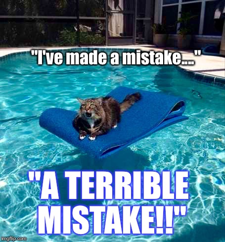 OOPS. | "I've made a mistake...."; "A TERRIBLE MISTAKE!!" | image tagged in pool cat,cats,funny cats,fails,animals | made w/ Imgflip meme maker